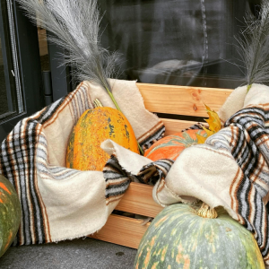 Commercial Fall Decorating in Hattiesburg, MS