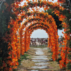 Commercial Fall Decorating in Hattiesburg, MS