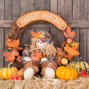Fall Porch Decorating in Hattiesburg, MS