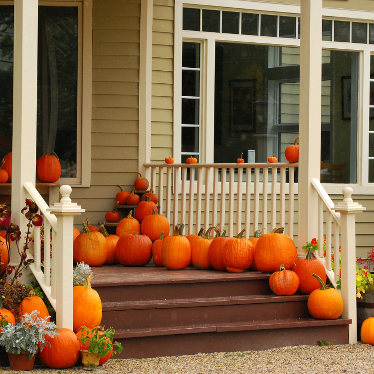 Porch Decorating in Hattiesburg, MS Porch Decorating in Hattiesburg, MS