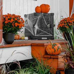 Pumpkin Delivery and Pick-up in Hattiesburg, MS