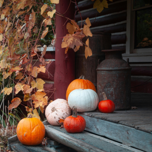 Pumpkin Delivery and Pick-up in Hattiesburg, MS